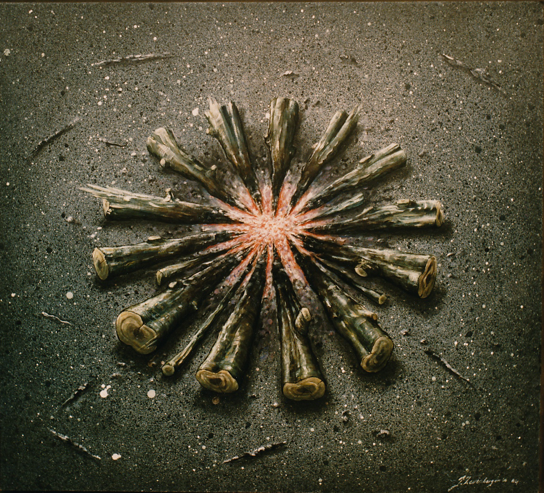 Johan Zevenbergen,Baken. 1984.